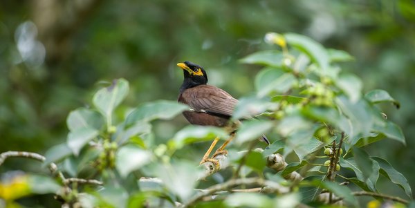 Crise du logement à rennes : entre demande croissante et offre en baisse